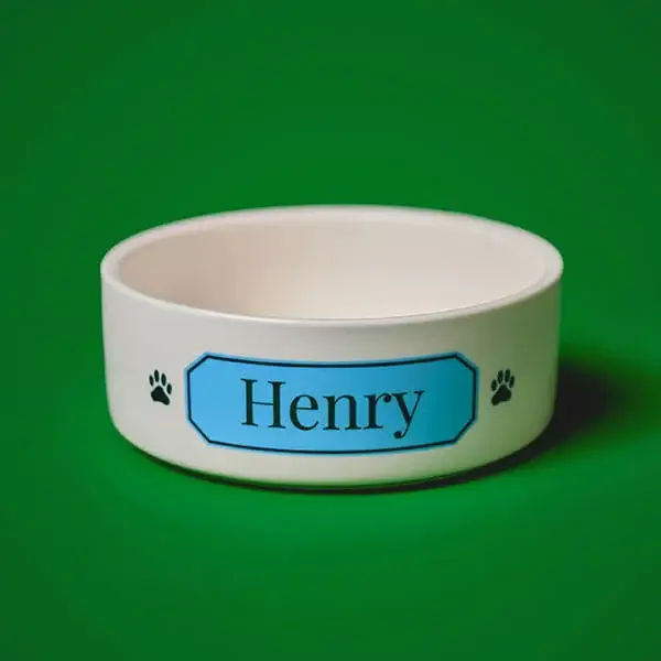 Personalised white pet bowl featuring a custom name plaque and paw print icons, displayed against a green background.